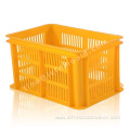 Professional Vegetable Crate Mould